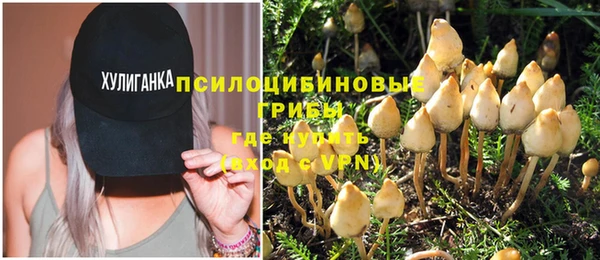 спиды Алзамай