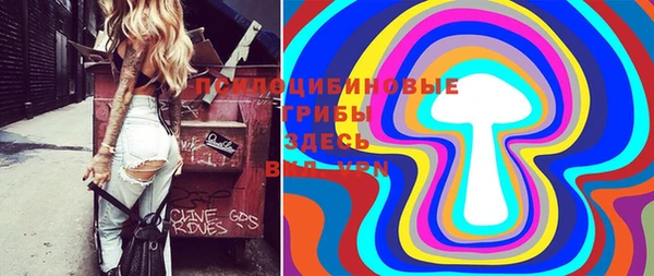 дурь Алексеевка