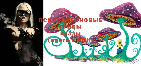 дурь Алексеевка
