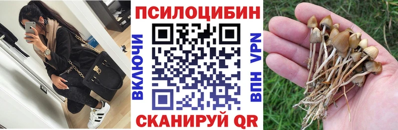Псилоцибиновые грибы Cubensis  Крымск 